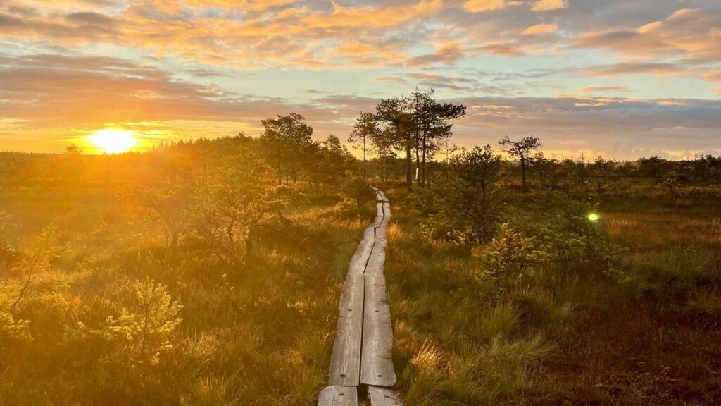 Valkmusan kansallispuisto, kesä