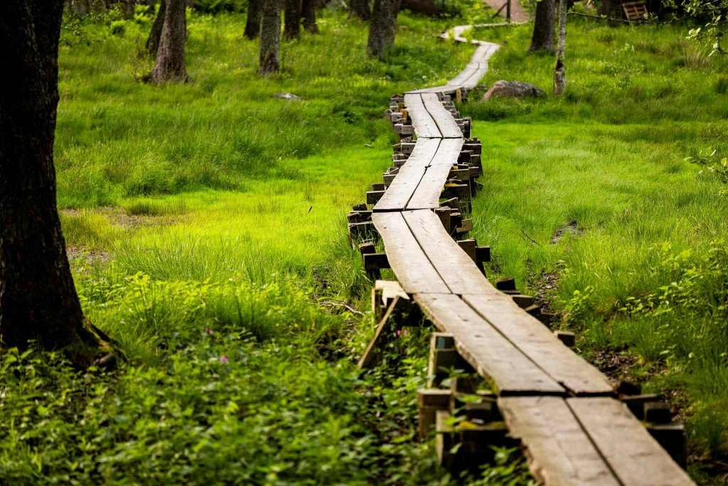 step4wellnes metsäretki pitkospuita pitkin Kotkassa tai Haminassa