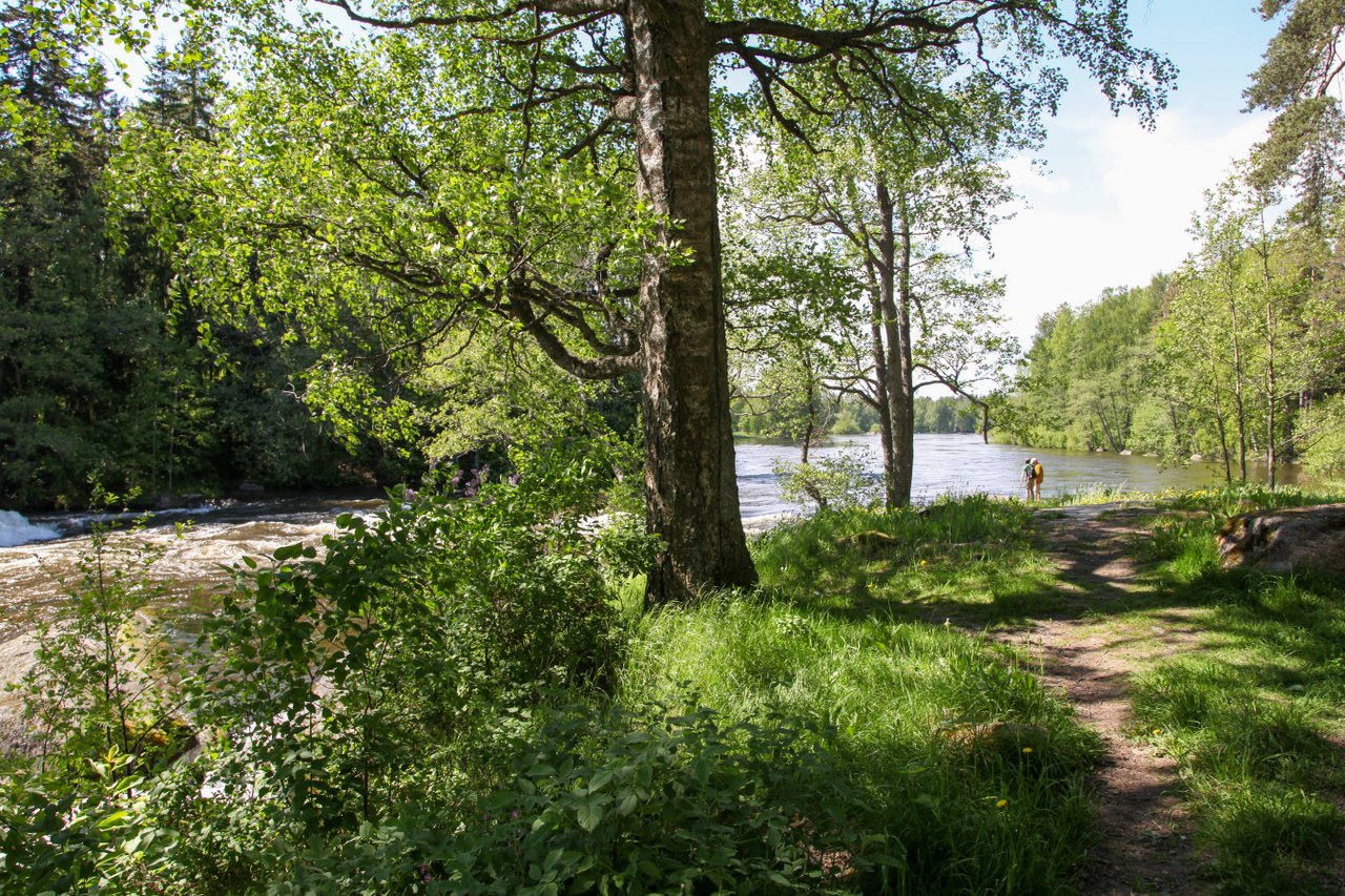 Unforgettable Kymijoki River Valley Cycling Route Visit Kotka Hamina