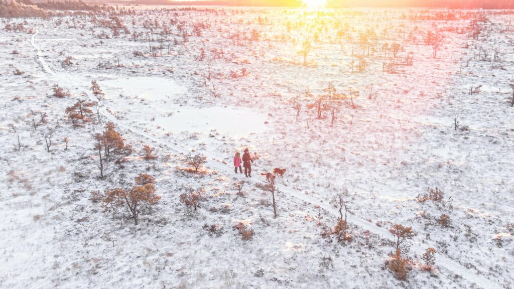 visit kotka finland